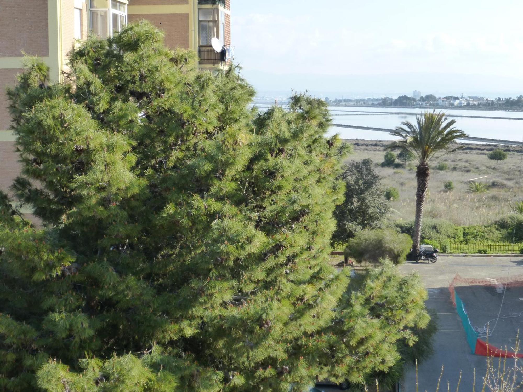 Chelu & Luna Cagliari Buitenkant foto